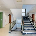 Modern 1 Bedroom Apartment, Steps From The Sea & Downtown 马尔韦利亚